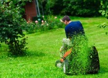 Kwikfynd Lawn Mowing
thyra